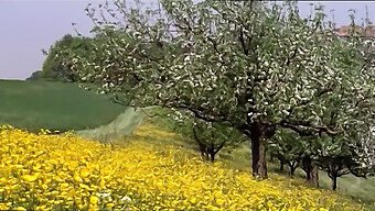 فیلم کامل دختران مدرسه ای که تمایلات جنسی خود را کشف می کنند